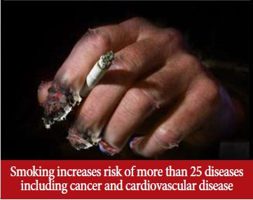 GSO 2012 Health Effects Other - disease, cancer, cvd, fingers, gross (English)